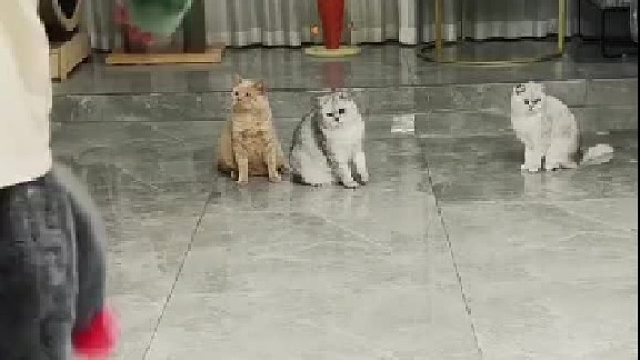 看热闹的挨揍了