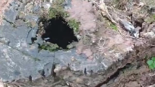 身居天地间，无须广厦三千，能遮风避雨，睡得心安即可