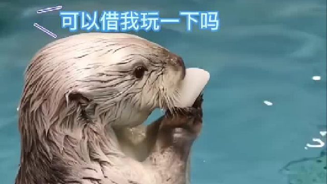 她为什么能掏出这么多玩具？