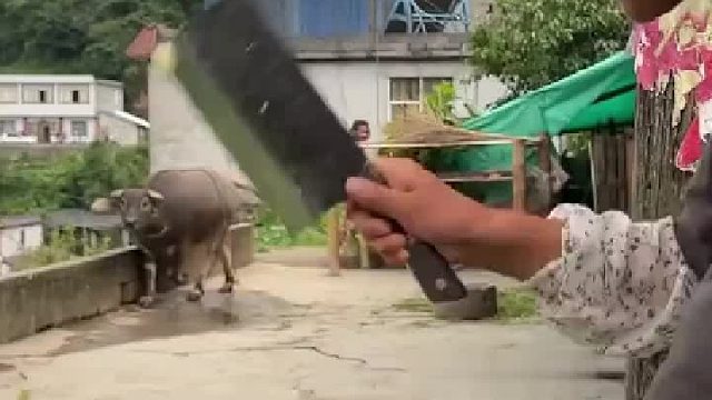 这样的生活多好呀……