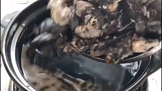 滋补煲汤食材的乌骨鸡，打扮得花枝招展，变身可爱萌宠