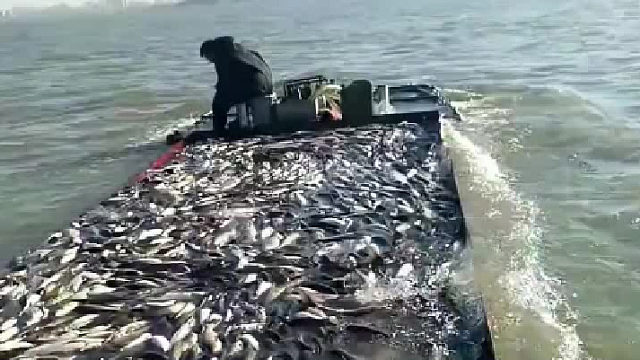 这怕是到不了岸吧