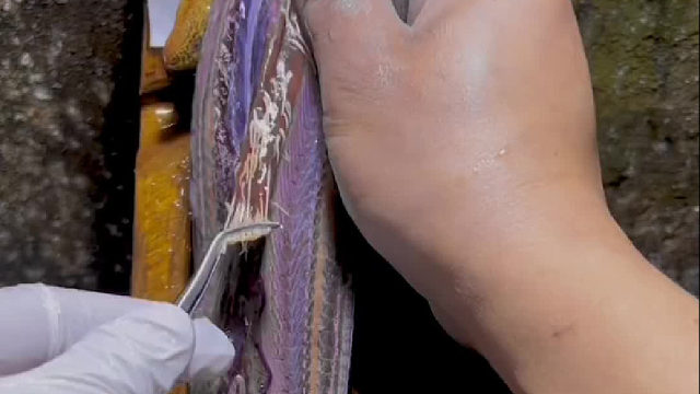 看完还有人敢吃黄鳝的吗