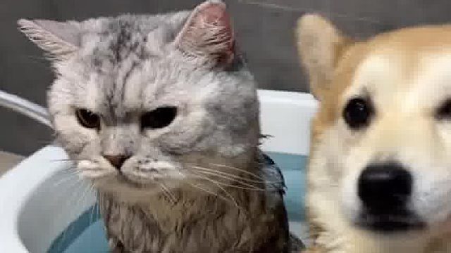 这是什么原理呢