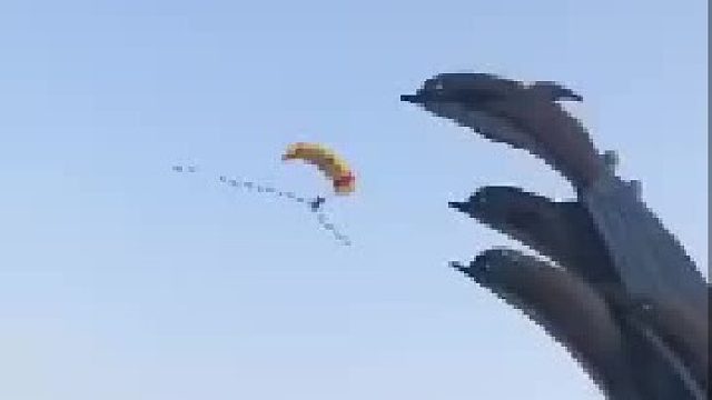 大雁：兄弟，你是怎么混进来的