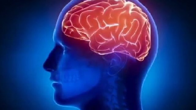 脑鸣、头晕、记忆力下降该怎么办