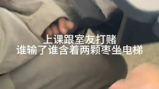 这样的室友我真的超爱