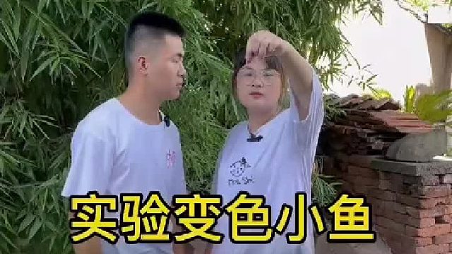 表妹的变色小鱼