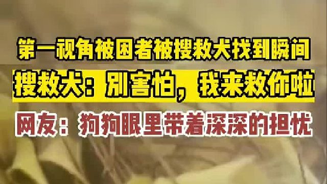 被困者被搜救犬找到瞬间，搜救犬_别害怕，我来救你啦！