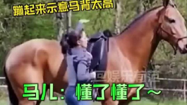 马儿：懂了懂了，你看我学的像不像？