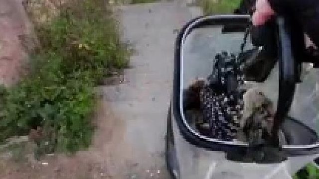 钓鱼人的天堂点位[拜年]