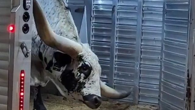 这要是在印度，又成神了