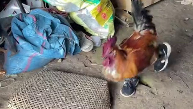 #看土味视频品百味人生_