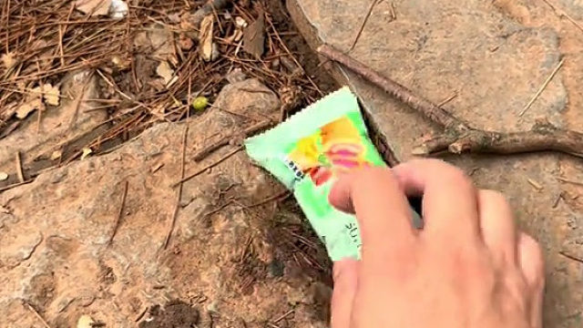 洁癖猴嫌弃面包