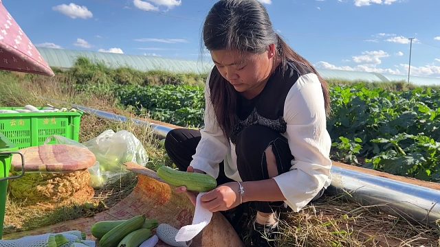 今年瓜价跌到谷底，为节省工钱媳妇做了啥？老公陪感欣慰