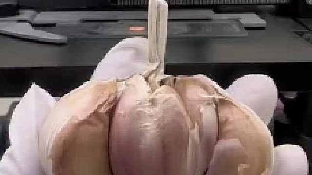 大蒜真的能杀菌吗