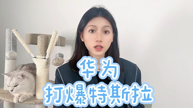 华为拳打比亚迪，脚踢特斯拉