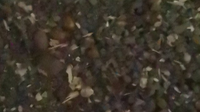 来吧一起创业养殖