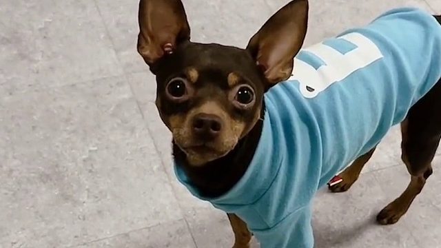 啵啵乐这点小心思 我就不信对付不了你