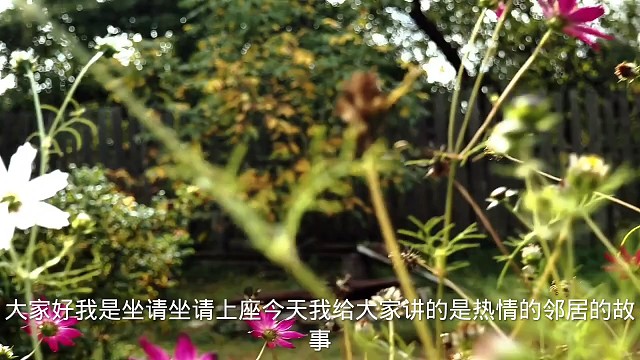 热情的邻居的故事