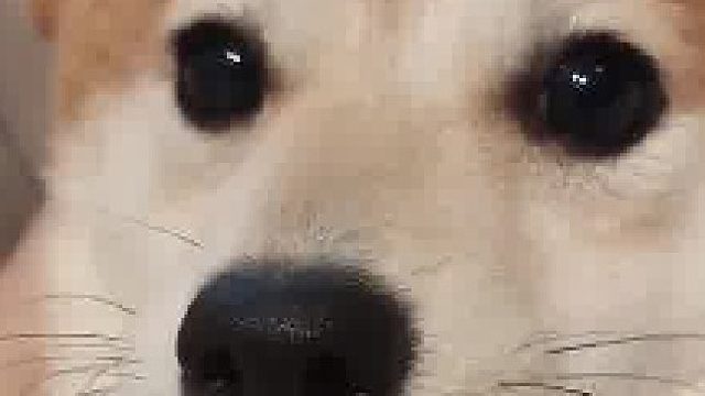 假如你朋友没回你，艾特ta来看