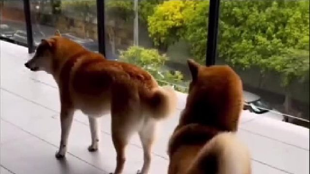 快艾特你身边欠儿欠儿的朋友吧