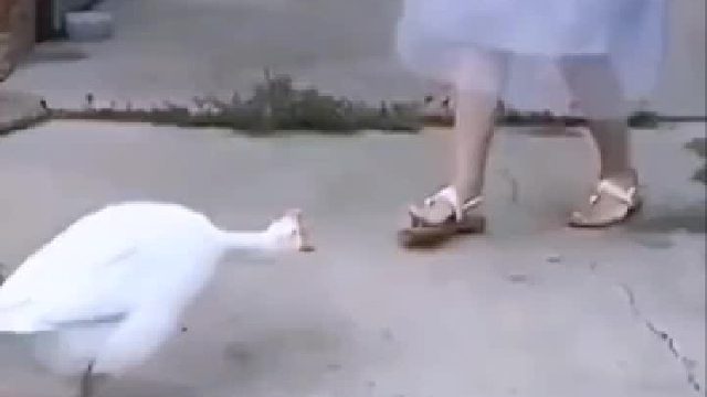 天，这结局怎么也想不到啊，笑死我了