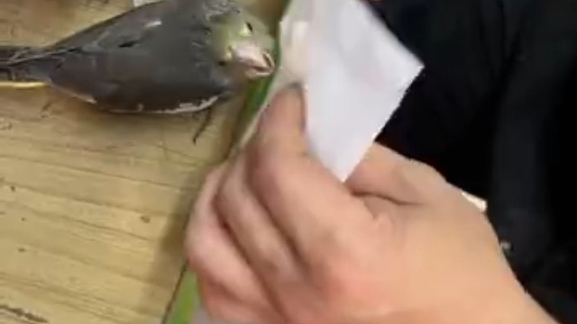 莫非你真的是天才