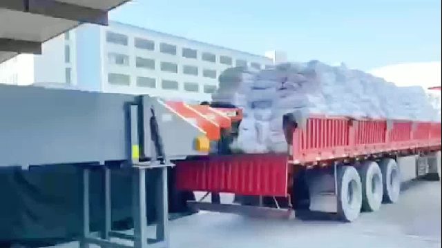 装车神器输送带加上码垛机器人