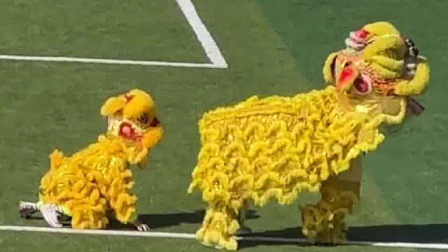 大学生为了学分什么都能做