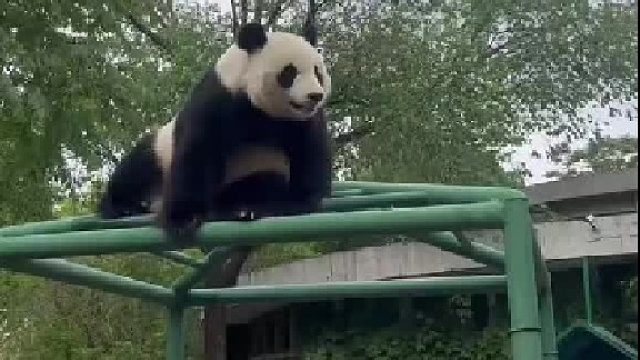 格格都是不好惹的