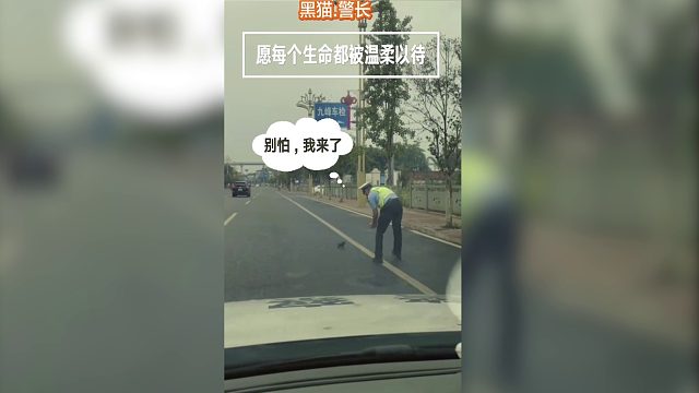 愿每个生命都被温柔以待#温暖#猫咪#流浪猫