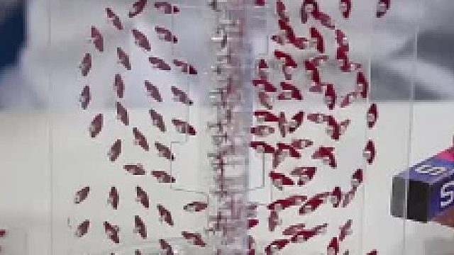 磁感线并不存在