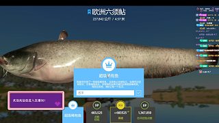 藍豬拿下