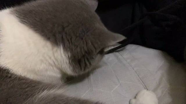 有没有找我打游戏的