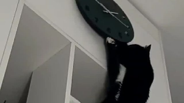 激动的心，颤抖的手，我想动手，可否？