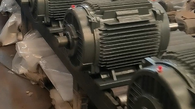 生活不论好坏，每天都是限量版。