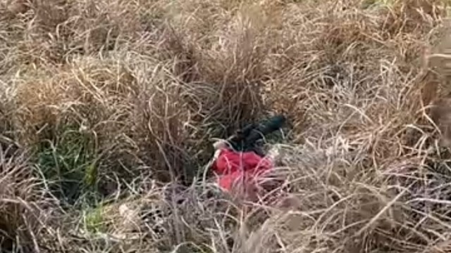 埋伏时间太长，睡着了[允悲][允悲]