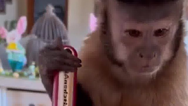 这脑子开发了几成？