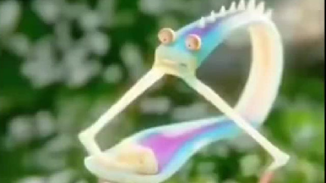 神奇的昆虫世界