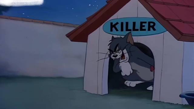 你说这是秃然的自我