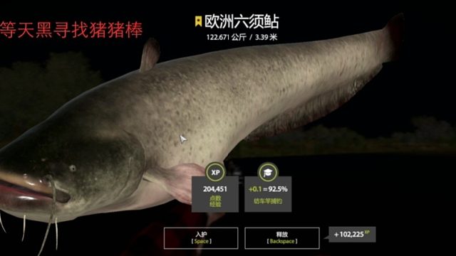 老鲟坑拿捏122k小星猪，渡劫成功！