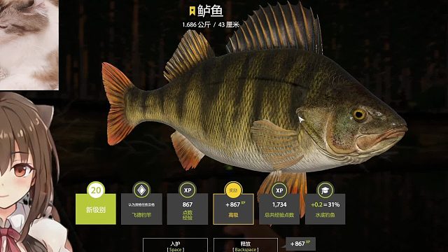 钓长吻，偶遇贪吃的卢姥爷