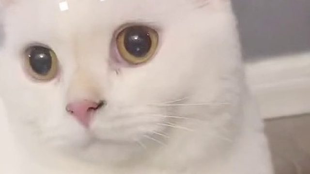 小小的脑袋里有很多的问题