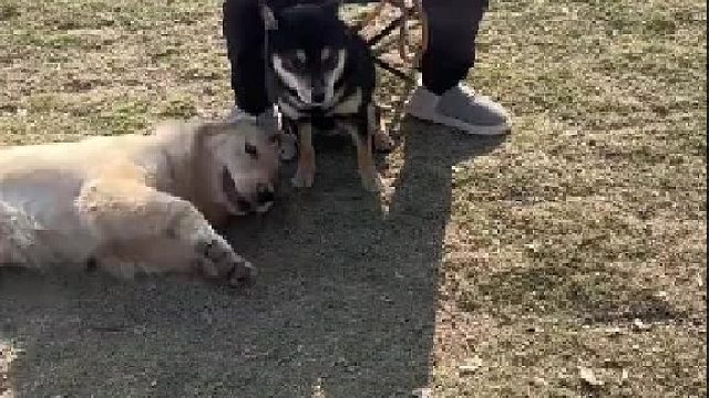 敬酒不吃吃罚酒