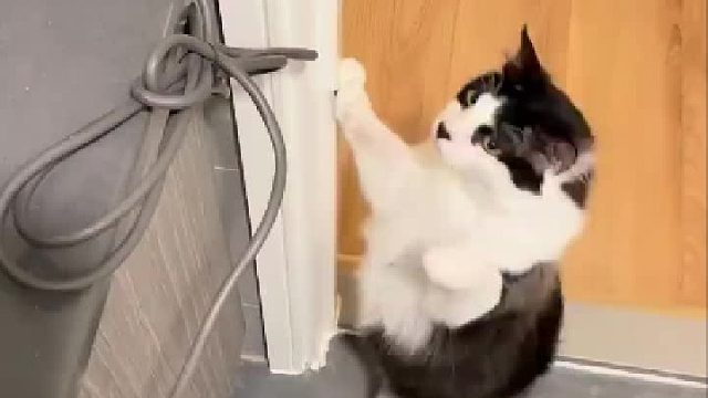 可恶的吹风机，今晚就收拾你