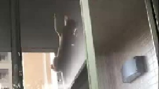 这是养到蜘蛛侠了吧！！