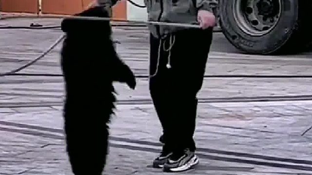 节奏感真是好……