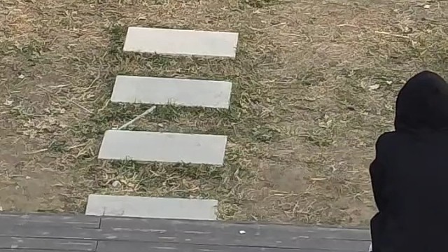 小蜡笔小新剧场版