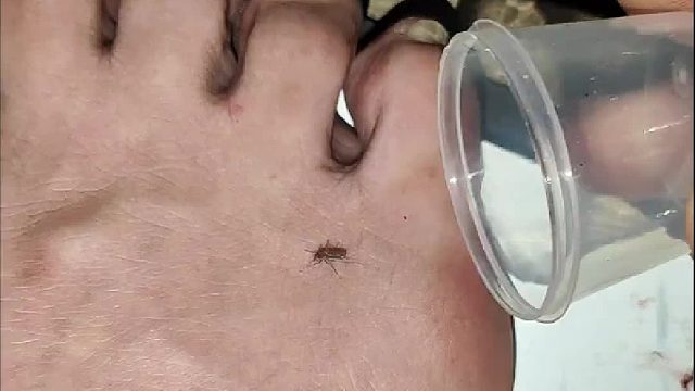 少了一个步骤啊忘点火了